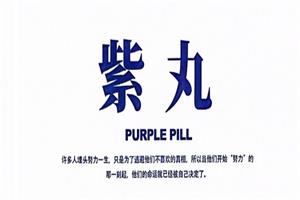 锵锵三分钟《紫丸》PDF