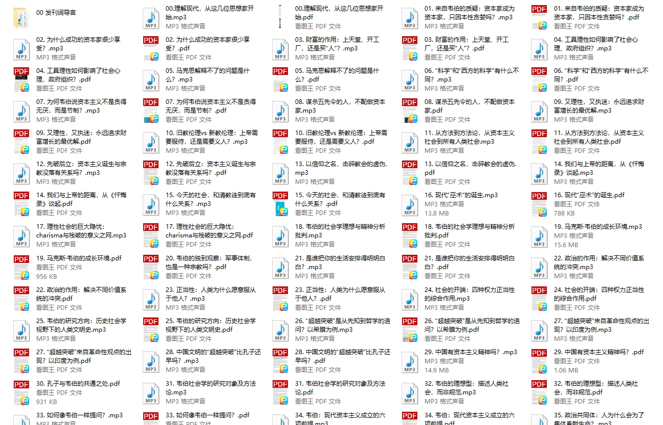 【完】杨照 认识现代社会的真相：韦伯60讲