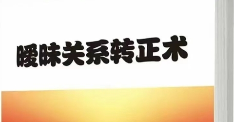 《暧昧关系转正术》pdf电子版